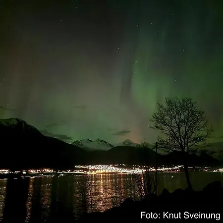 Villa I Isfjorden! *