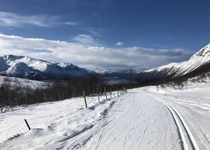 I Isfjorden! Villa Isfjorden